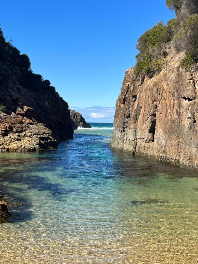 Bed and Breakfast Country Charm Coastal Living Tura Beach Екстер'єр фото